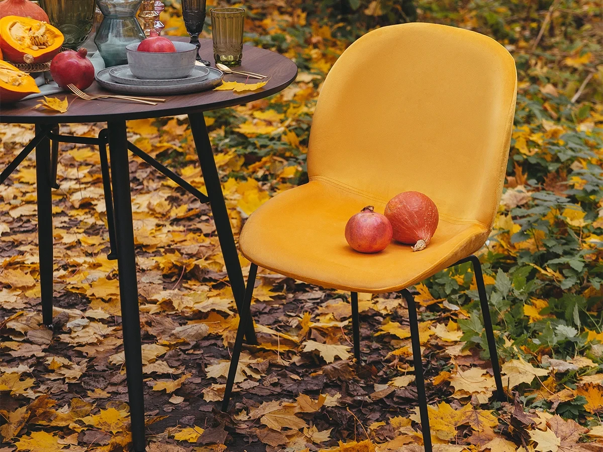 заказать Стул Beetle в интернет-магазине