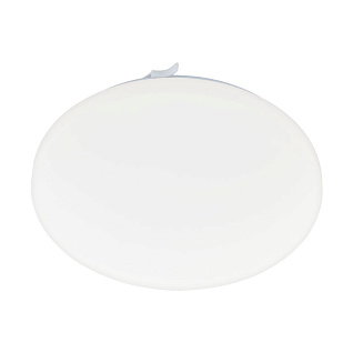 97873 Светильник настенно-потолочный светодиодный FRANIA