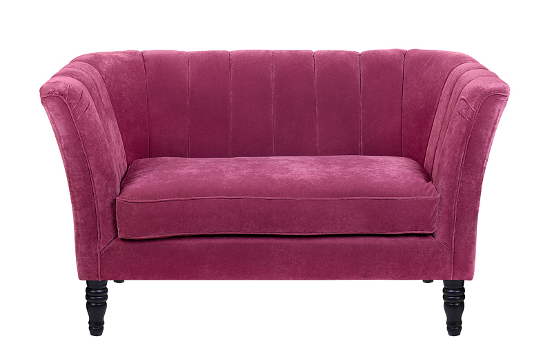 Дизайнерский двухместный диван Dalena Violet