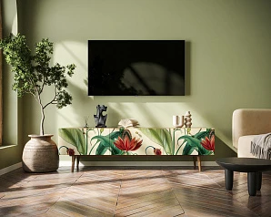 фото Комод "Berber" с ящиками низкий под TV арт BB19/Print_55