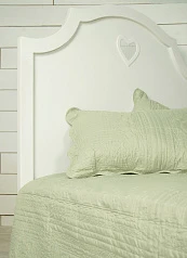 Покрывало и 2 наволочки "Cover" зеленые арт A02 в интерьере