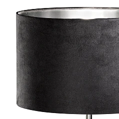 купить стильные Настольная лампа PASIANO 94084