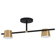 заказать 39983 Потолочный светильник ALTAMIRA