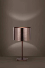 фото Настольная лампа SAGANTO 39394