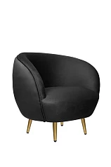 купить стильные Мягкое кресло для гостиниц Small Benee Black