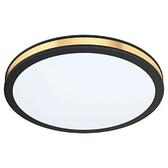 99406 Настенно-потолочный светильник светодиодный PESCAITO