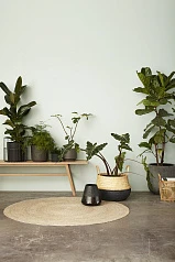 фото СКАМЬЯ HUBSCH ИЗ ДУБА в интерьере