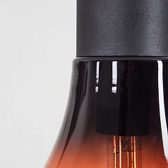 заказать Подвесной потолочный светильник (люстра) CHASELY 43459