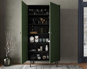 купить красивый Шкаф двухдверный "Emerson" арт EM091/green/L в интернет-магазине