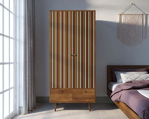 купить красивый Шкаф двухстворчатый "Berber" принт 20 арт BB16/Print_20