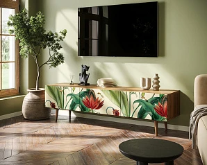 фото Комод "Berber" с ящиками низкий под TV арт BB19/Print_55